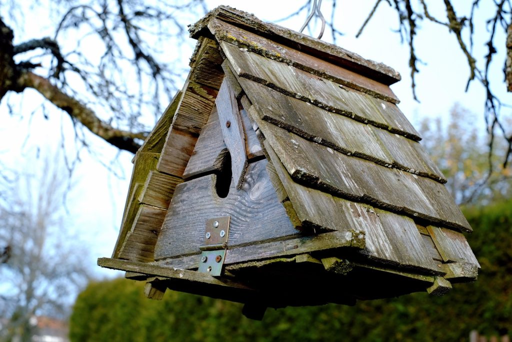 8 Tools You Need to Build a Birdhouse!